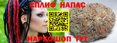 спиды Ставрополь