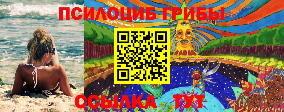 Моздок  Псилоцибиновые грибы GOLDEN TEACHER  Вход с VPN 