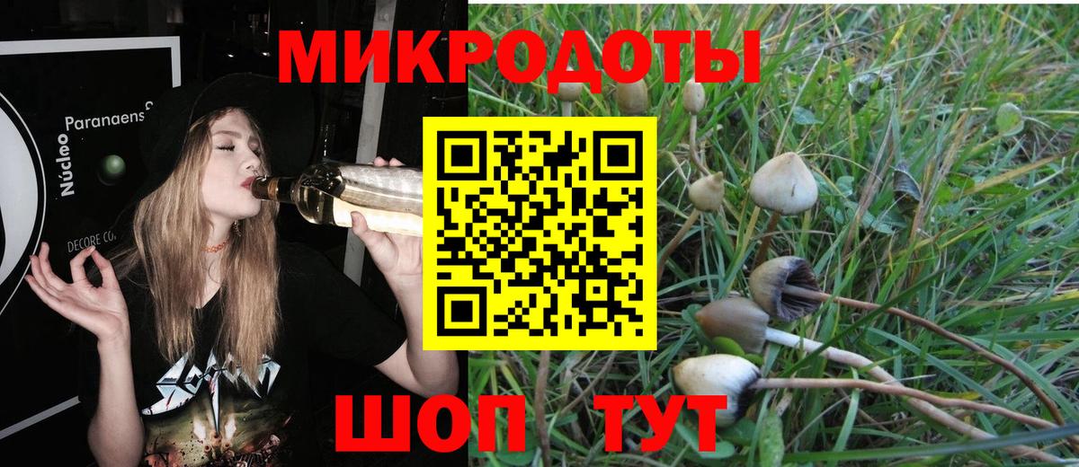 Псилоцибиновые грибы Psilocybe Моздок